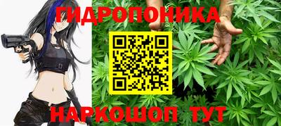 Альфа ПВП Дубна