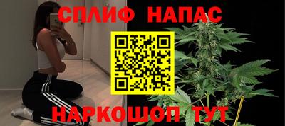 Альфа ПВП Дубна