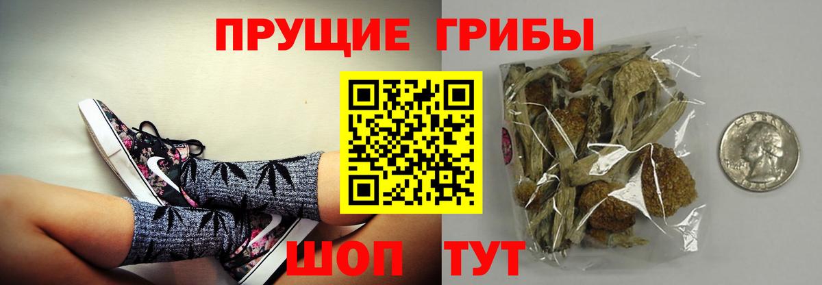Галлюциногенные грибы GOLDEN TEACHER  Вход с VPN  Лысьва 